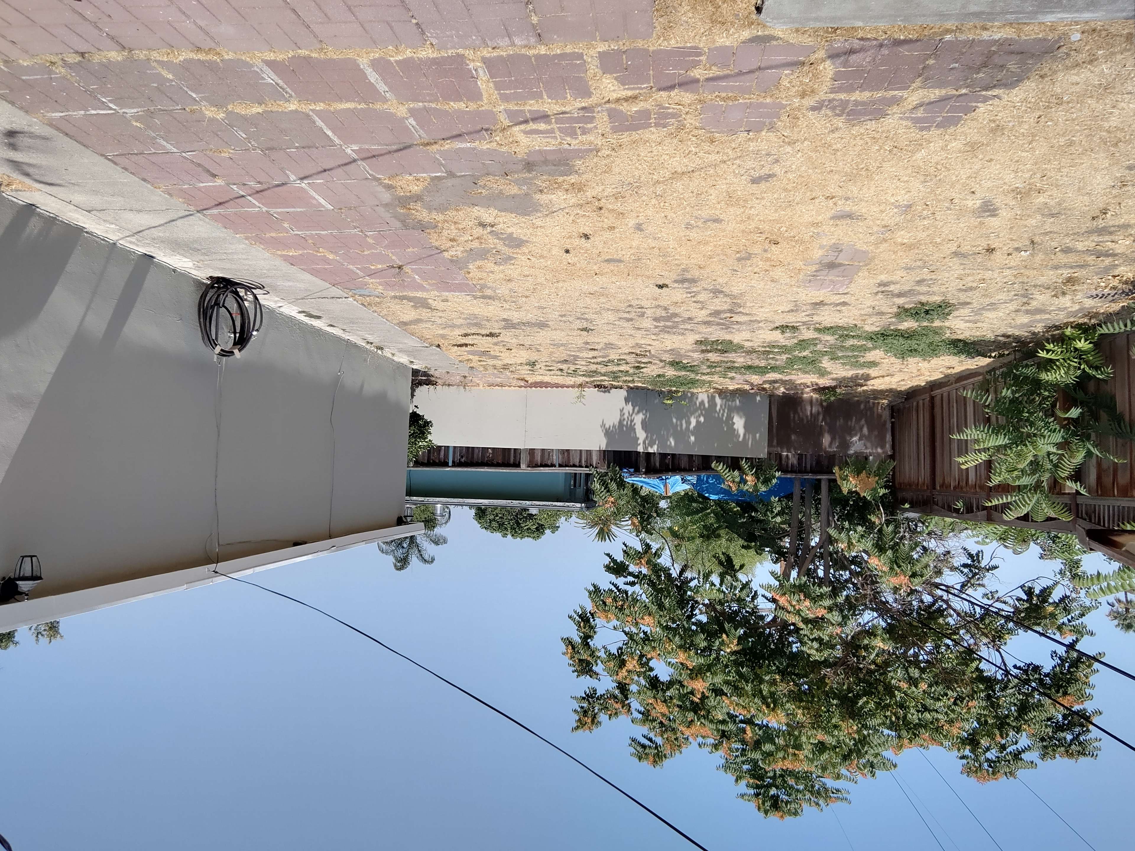 Los Altos Modern, Los Altos Hills, CA. Photo 1 of 27. Tranquil Reflecting Pool