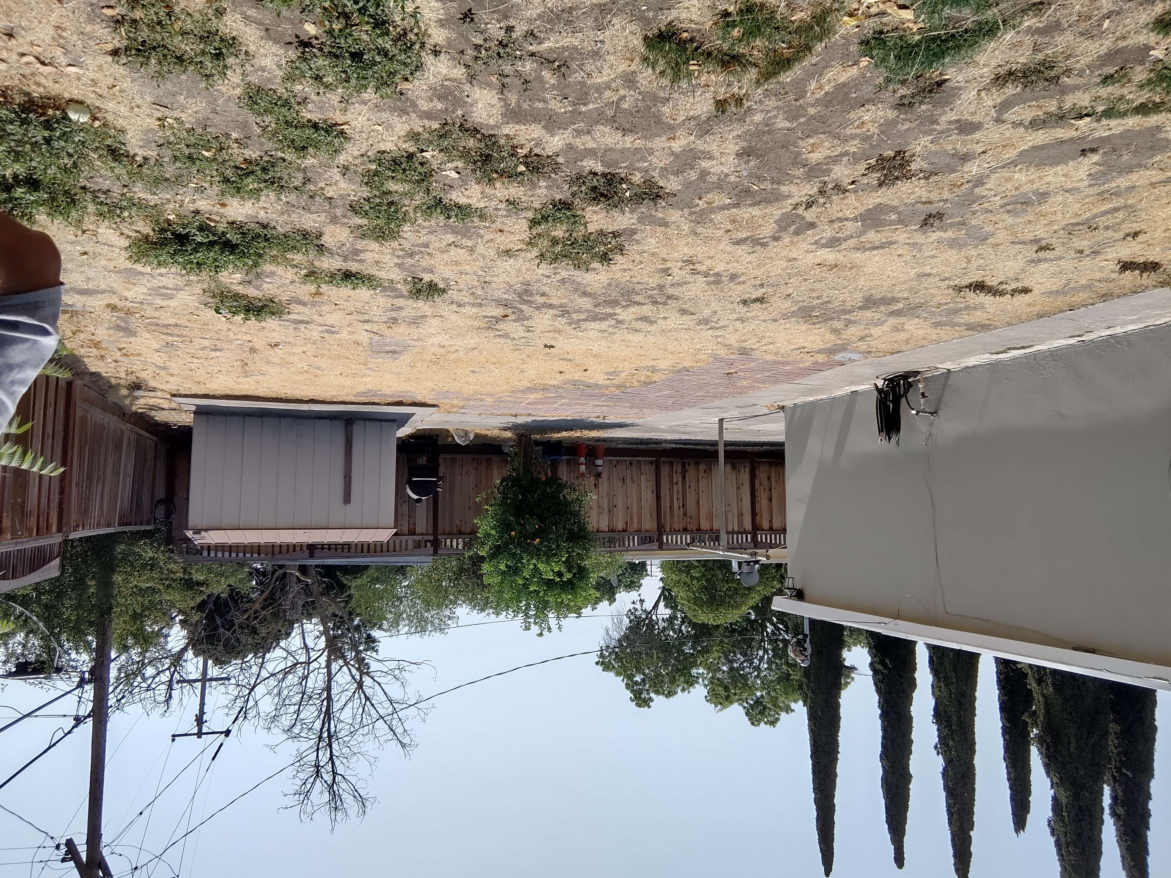 Los Altos Modern, Los Altos Hills, CA. Photo 1 of 27. Tranquil Reflecting Pool